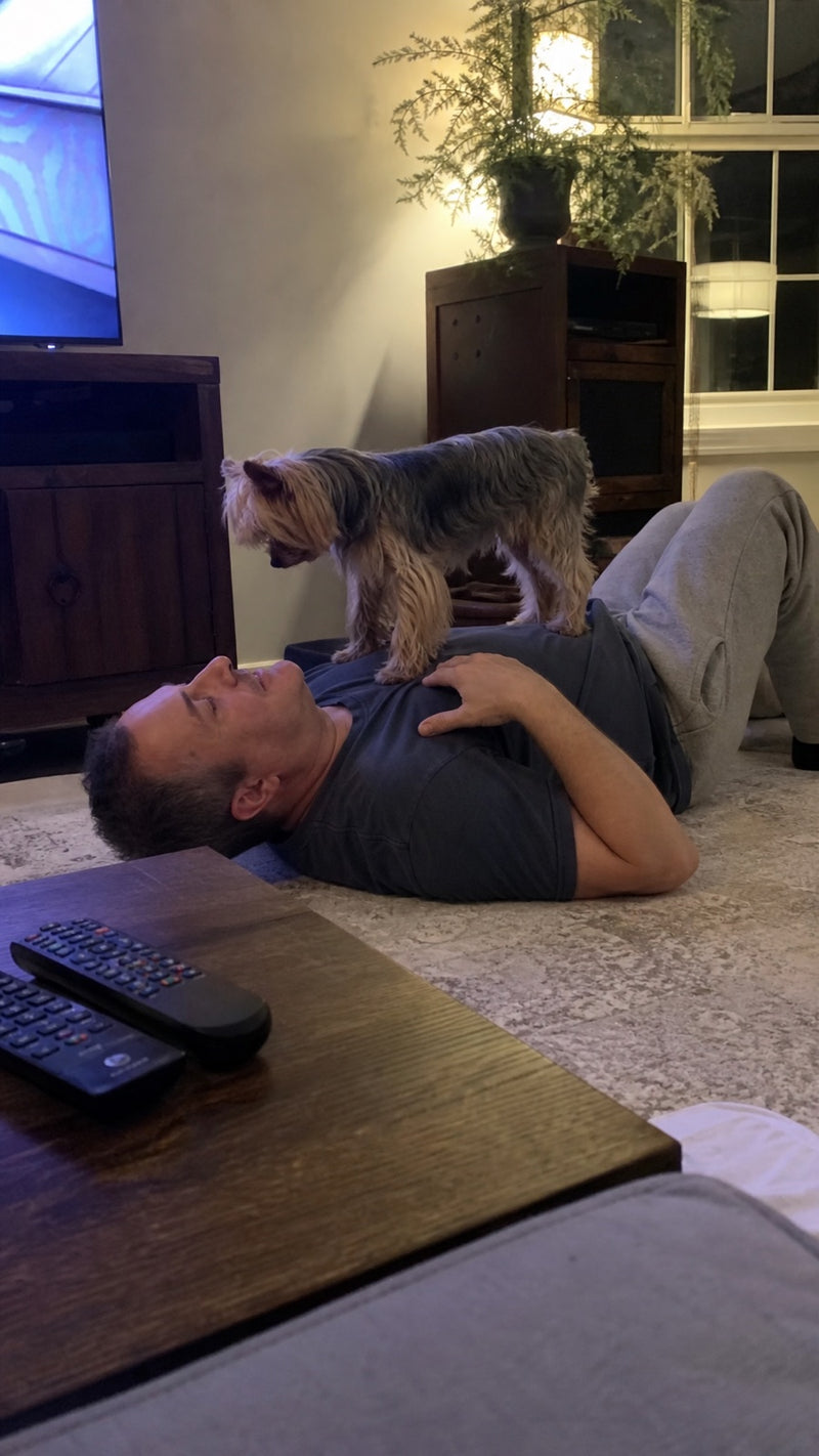 Verified customer photo with their dog