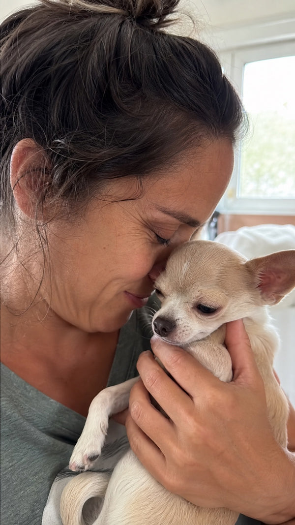 Verified customer photo with their dog