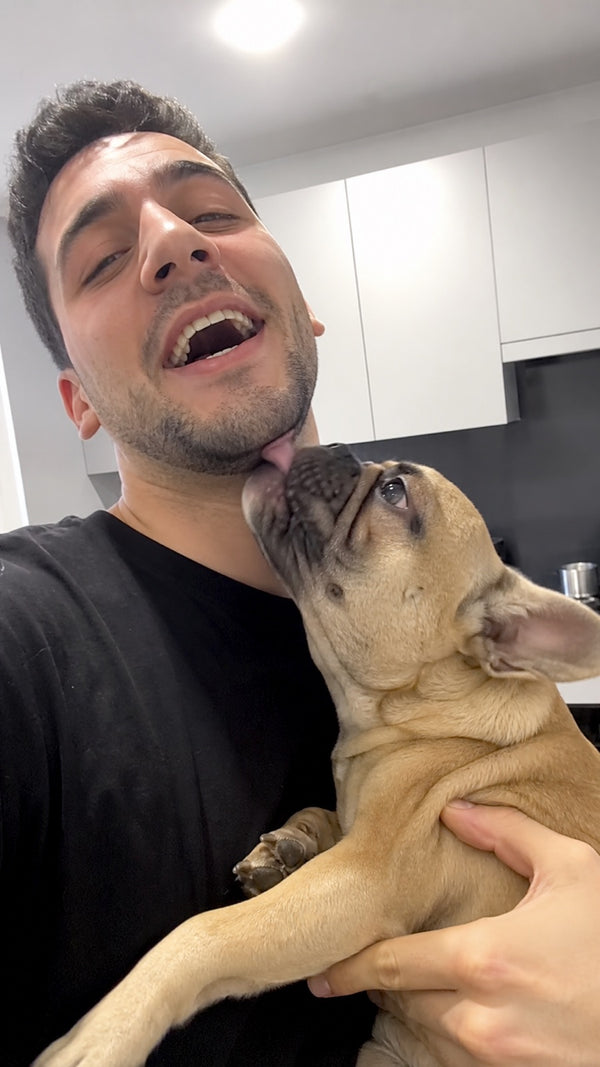 Verified customer photo with their dog