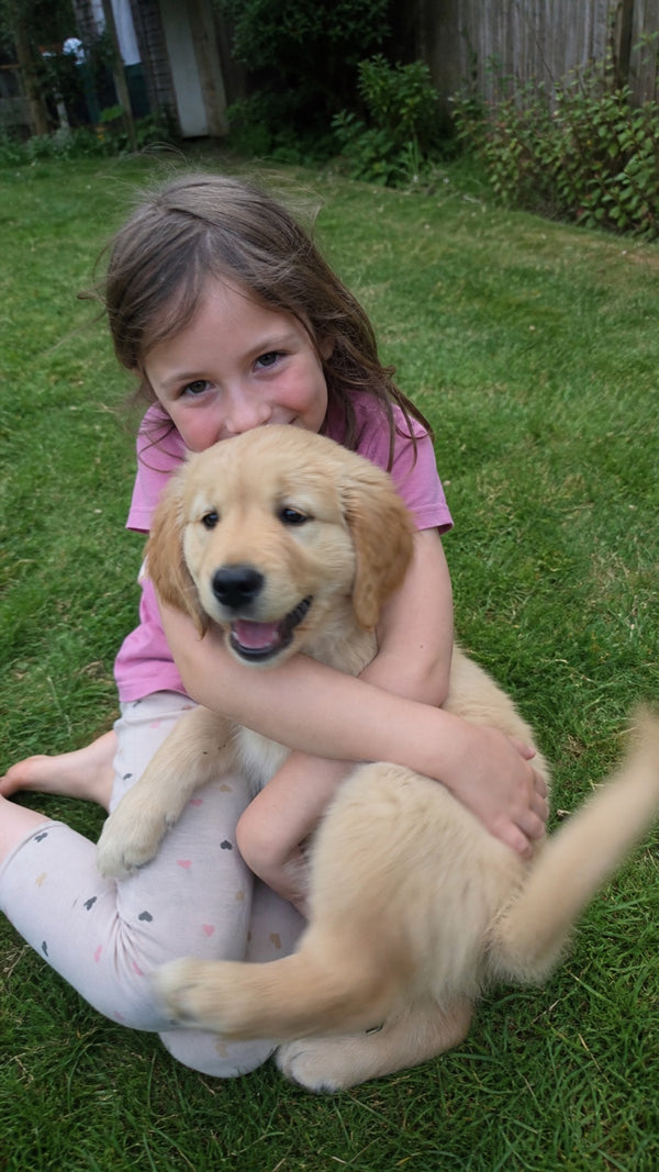 Verified customer photo with their dog
