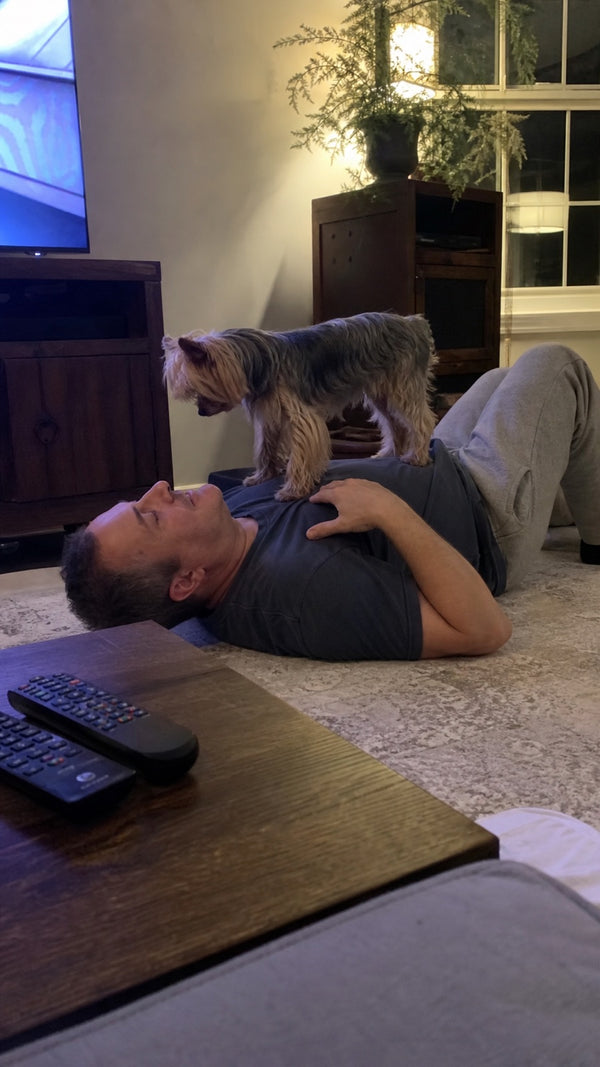 Verified customer photo with their dog