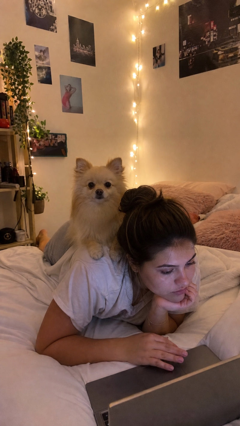 Verified customer photo with their dog