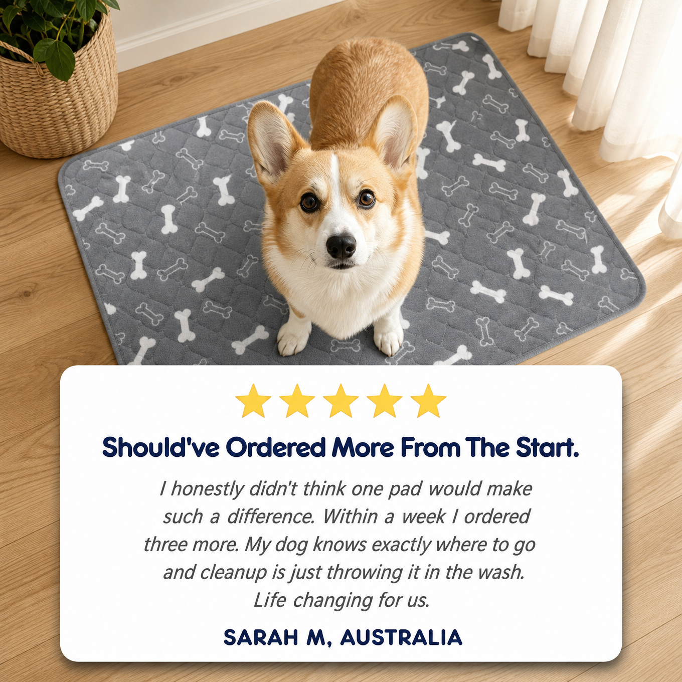 The Snoot Pad — No Leaks. No Smell. No Stress.